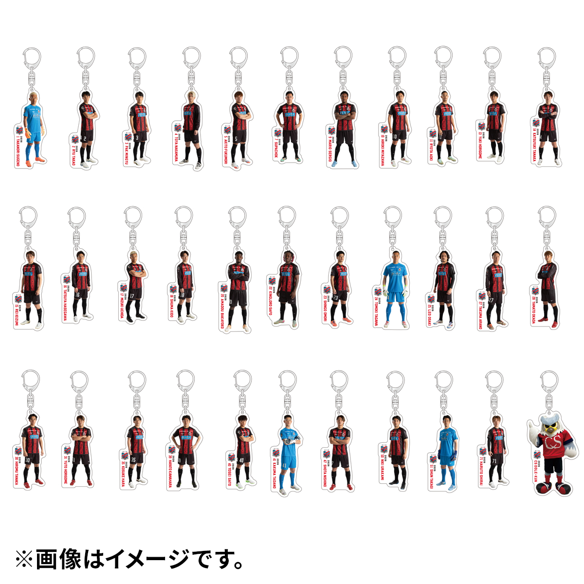 北海道コンサドーレ札幌　2025シーズンホームゲームボンフィン18試合セット 2/28(土)岐阜戦：対戦記念「ボンフィンストラップ」「25分の1