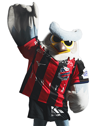 北海道コンサドーレ札幌 選手実使用 ハーフジップ ジャージ 北海道コンサドーレ札幌 選手実使用 ハーフジップ ジャージ